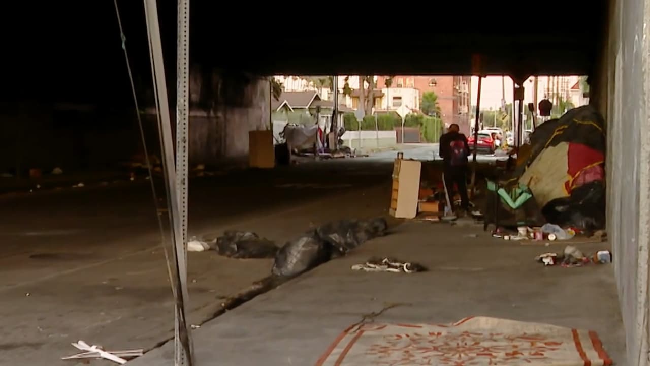 Vecinos del sur de Los Ángeles exigen acción ante indigencia y basura en las calles