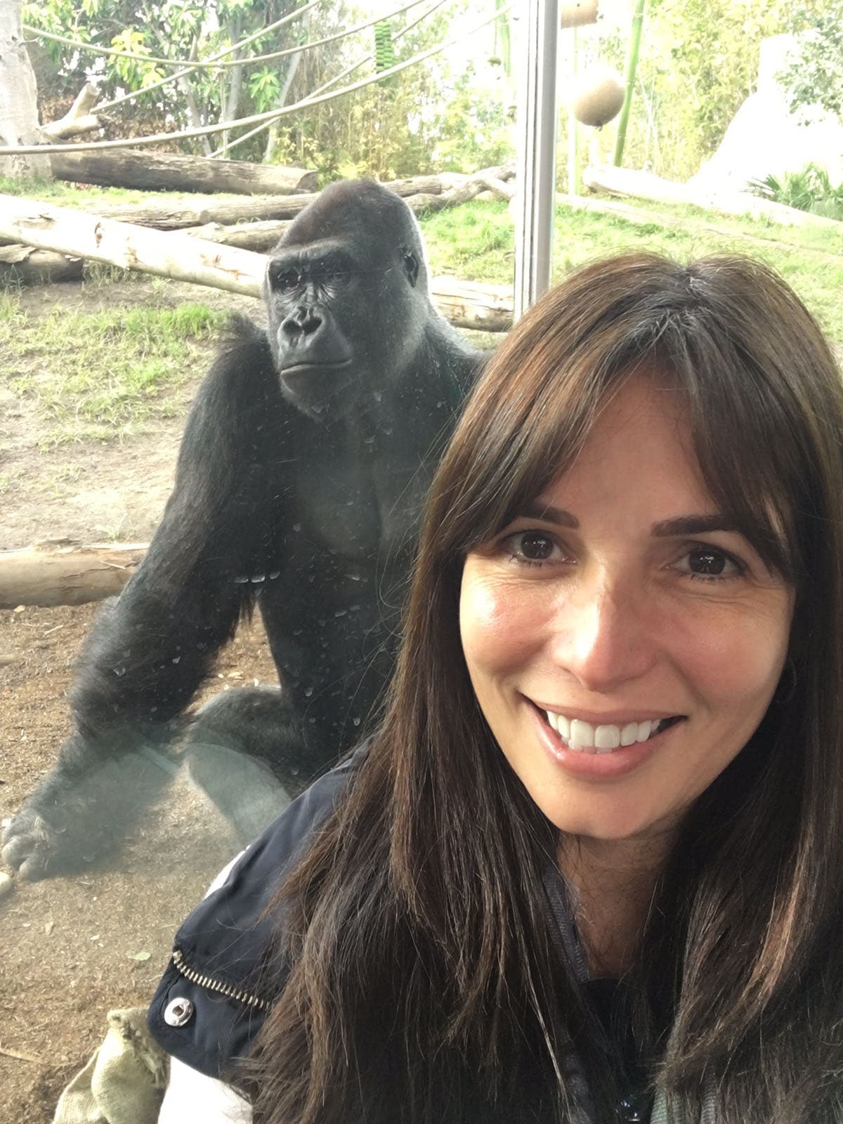 Para pasar esta gran fecha, decidió celebrar con anticipación visitando el Zoológico de San Diego.