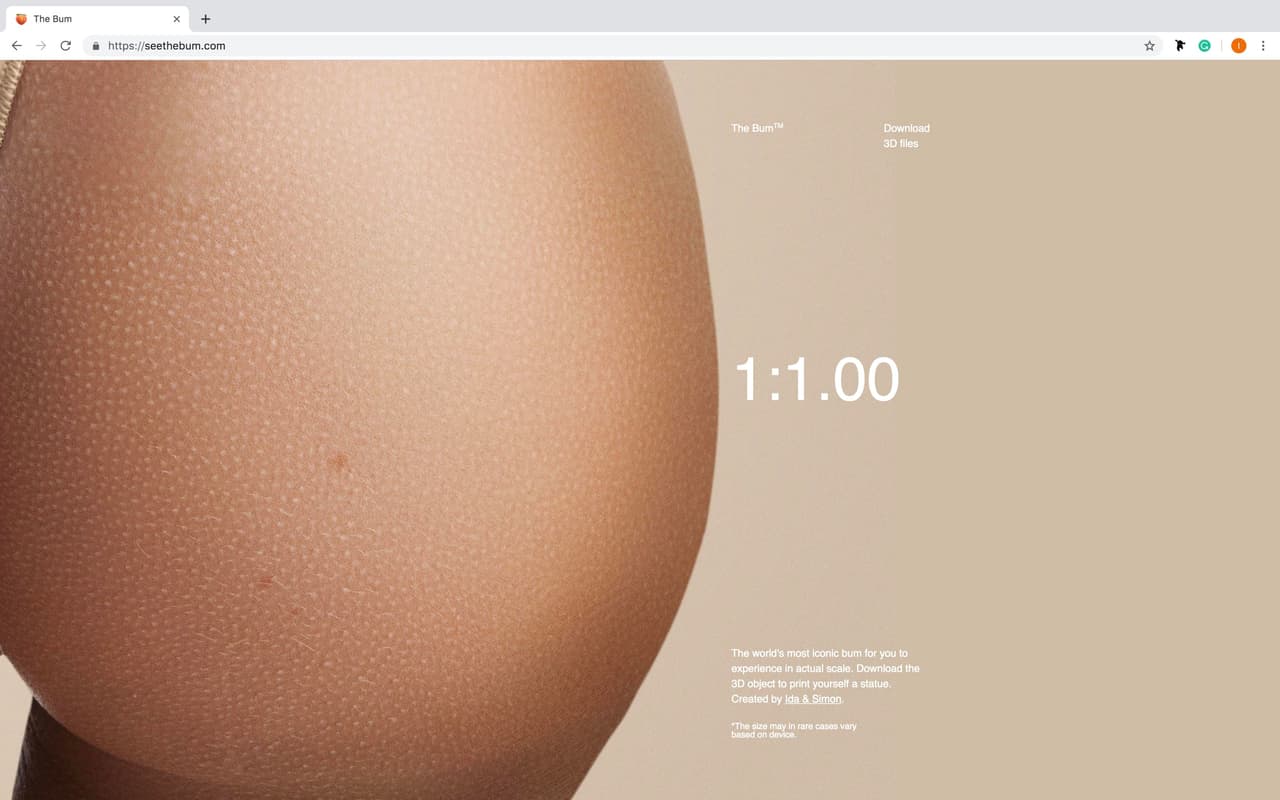 Ahora el trasero de Kim Kardashian vuelve a ser tema de conversación gracias a los artistas conceptuales escandinavos, Ida Jonsson, de 22 años, y Simon Saarinen, de 24, y a la diseñadora de moda sueca Beate Karlsson, de 24.