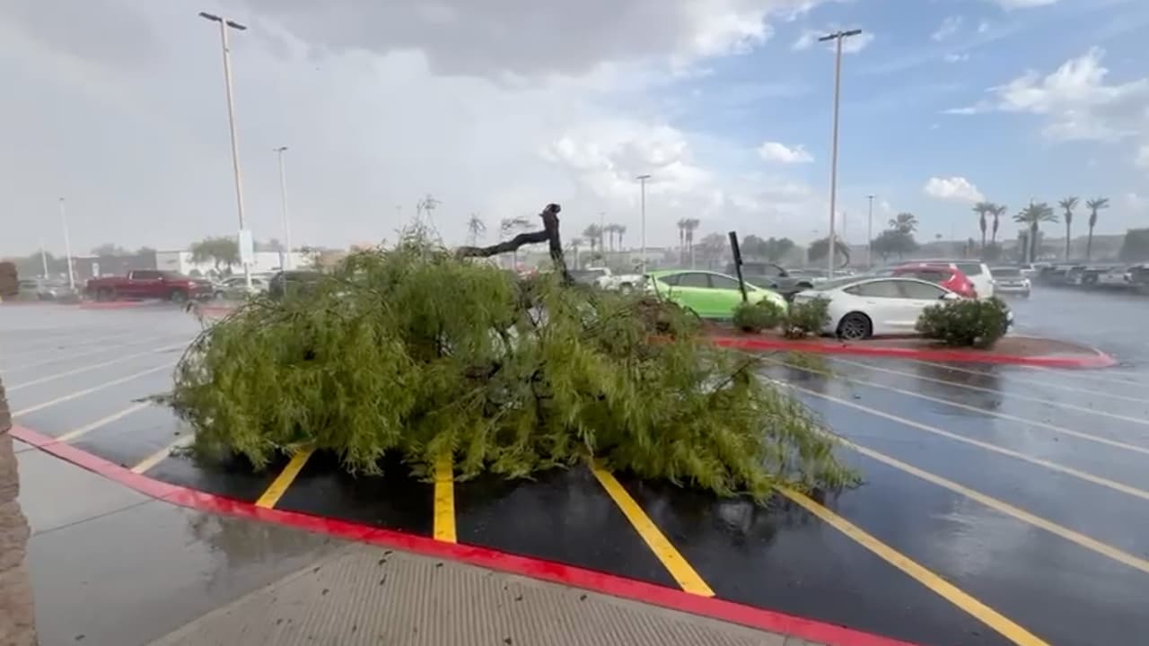 Lo que provocó la caída de múltiples árboles alrededor del valle, los cuales causaron algunos daños en viviendas y vehículos estacionados.