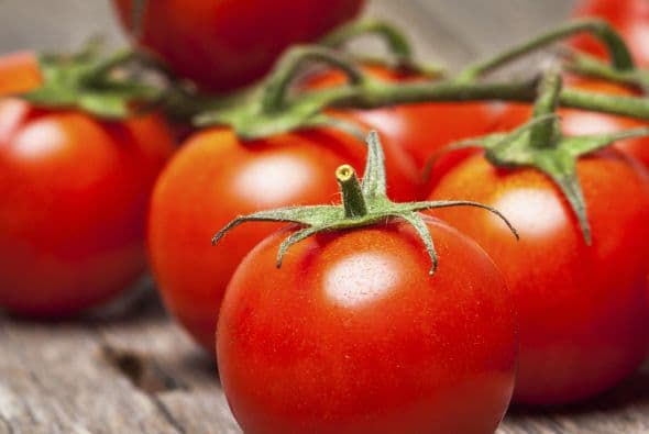 <b>Tomates. </b>Estos alimentos continúan su proceso de maduración a temperatura ambiente acumulando más compuestos volátiles que potencializan su aroma y sabor, por lo que si son guardados en la nevera, estos se reducirían.