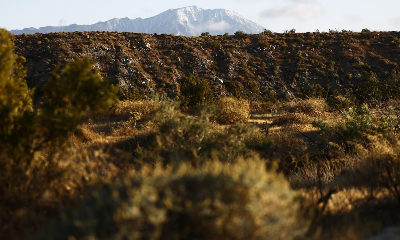 <b>Palm Springs</b>: 2 horas manejando 
<br>Si los escenarios desérticos son lo tuyo entonces Palm Springs puede que sea tu destino. Ya sea que quieras relajarte o explorar las montañas, esta ciudad tiene de todo un poco para cubrir todos los gustos.