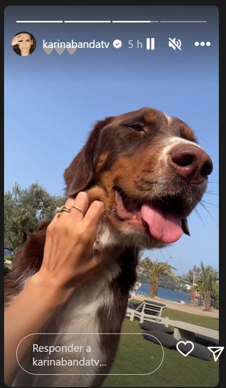 "Turquía me ha enseñado a amar más a los animales, el ver tantos perritos y gatos por las calles me tienen con el corazón apachurrado viendo la realidad de tantos animalitos que viven a su suerte todos los días”, señaló Karina en su perfil de Instagram hace unos días.