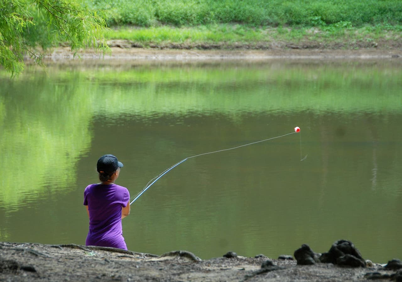 <b>Carolina Beach</b>
<br>Dirección: 1010 State Park Rd. Carolina Beach, NC. 28428
<br>Sitio web: 
<a href="https://www.ncparks.gov/state-parks/carolina-beach-state-park">https://www.ncparks.gov/state-parks/carolina-beach-state-park</a> 
<br>
<b><a href="https://goo.gl/maps/F1rVxcbGrptfdBrcA?coh=178573&entry=tt">Cómo llegar</a> </b>
<br>
<br>Si eres un fanático de la pesca en el poderoso río Cape Fear, Carolina Beach es uno de los mejores lugares para hacerlo. A pesar de que la ciudad en sí puede ser pequeña, está llena de lugares para lanzar una línea de pesca, debido a las playas frente al mar, los caladeros de pesca en la costa y una amplia selección de empresas de pesca chárter.
