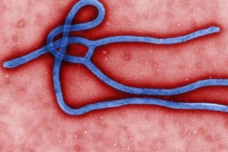 Desmienten supuestos casos de ébola en Texas 