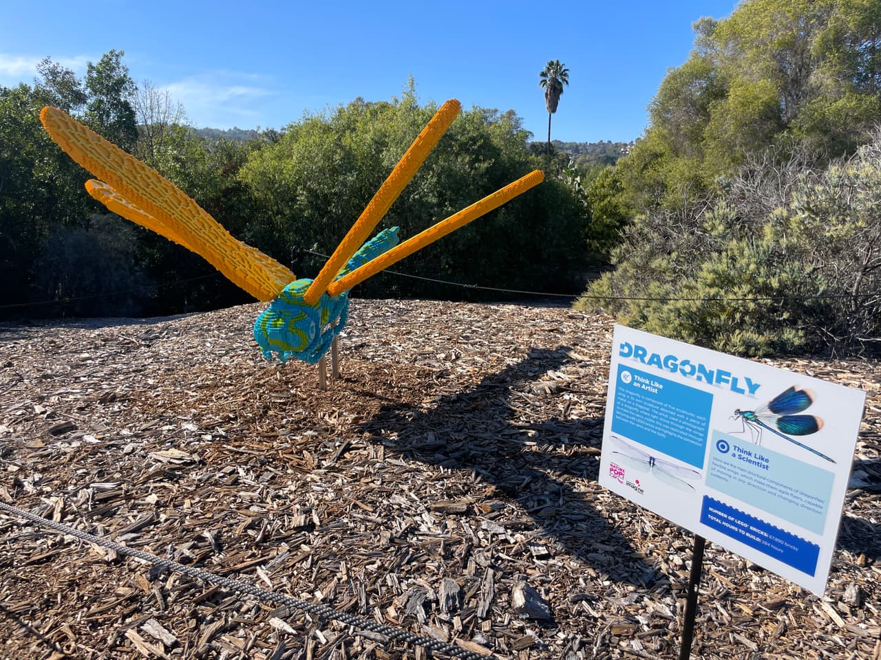 Esta líbelula fue construída con bloques de LEGO de tres colores, Kenney utilizó una fotografía para recrear este insecto de cuerpo alargado.
<br>
<b>Número de piezas de LEGO: 67,890</b>
<br>
<b>Horas de construcción: 284</b>