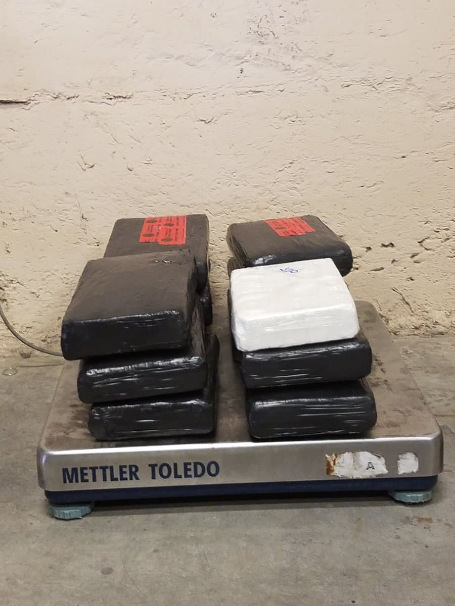 Una joven estadounidense residente de Atlanta, Georgia, fue arrestada a finales de junio mientras intentaba ingresar al país con casi 200 libras de droga por la frontera con México, informaron las autoridades esta semana. El incidente fue el primero de dos que se registraron en el mismo punto de revisión en cuestión de horas y que dejaron más de 4 millones de dólares en narcóticos incautados.