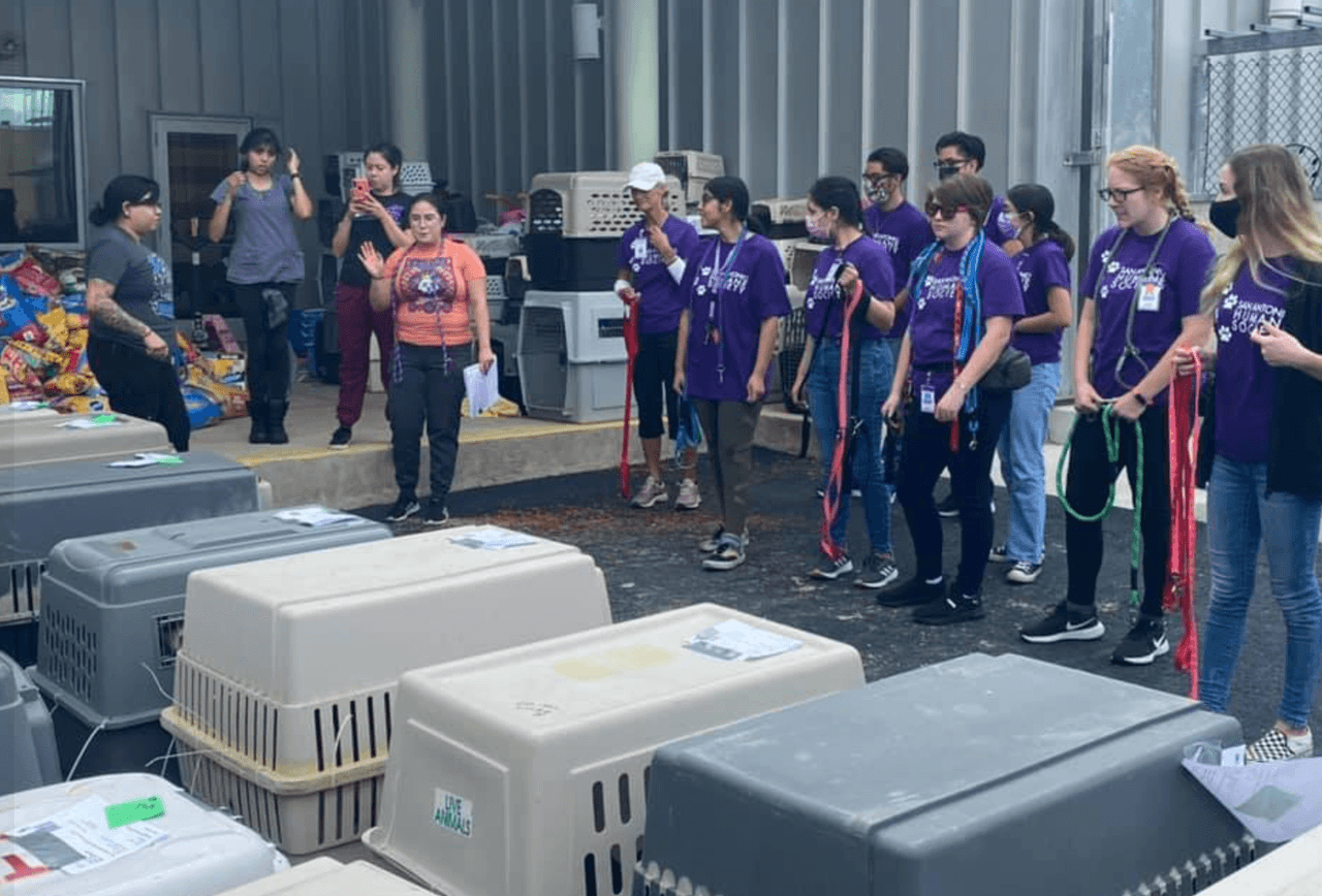 San Antonio recibe a más de 100 mascotas de Luisiana, víctimas del huracán Ida 