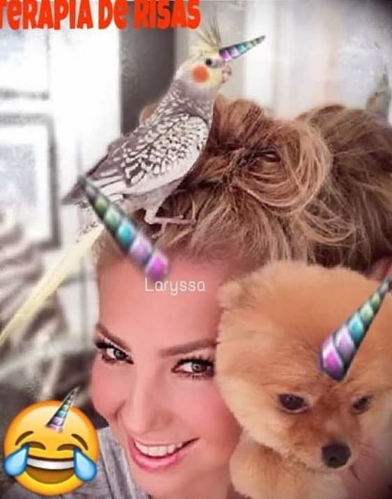 Thalía y sus mascotas en modo unicornio. Todo es posible en su cuenta de Instagram.
