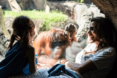 Su mamá disfrutaba ver la reacción de Michelle quien no perdía detalle de nada.