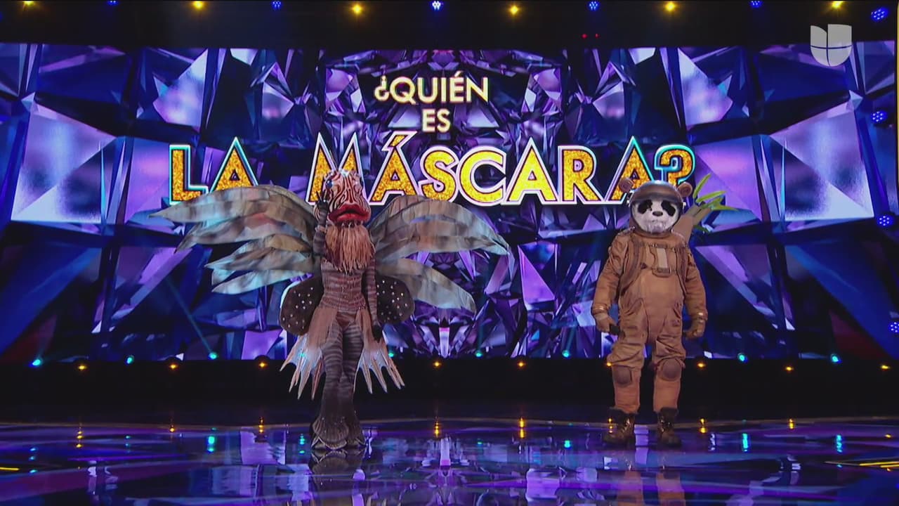 Pez, otra de las criaturas que conocimos en la segunda gala ganó el duelo contra Panda. Este último quedó en zona de riesgo a votación del público.