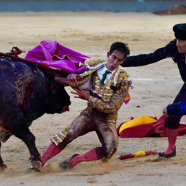 Siguió: "Voy a los toros a fotografiarlos y no siempre ganan los toreros como ven. Hace años atrás ganaba premios por mis imágenes taurinas y no he perdido mi ojo de fotógrafo".