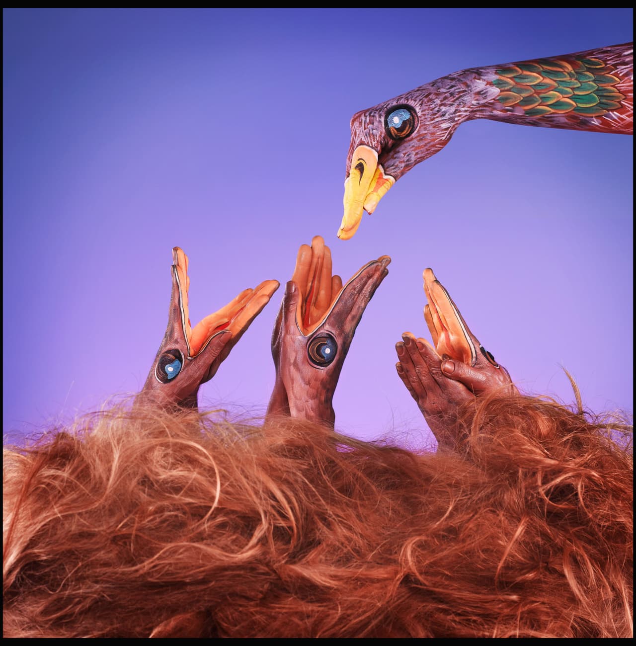 ¡Permite a sus cuerpos volar!