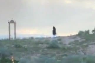 Grim Reaper in New Mexico