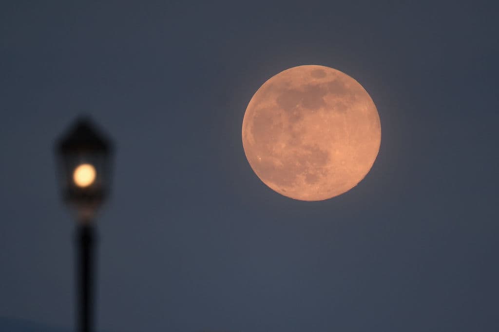 Esta noche habrá una superluna rosa: cómo y a qué hora verla 