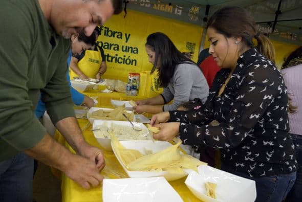 Festival Univision 2014