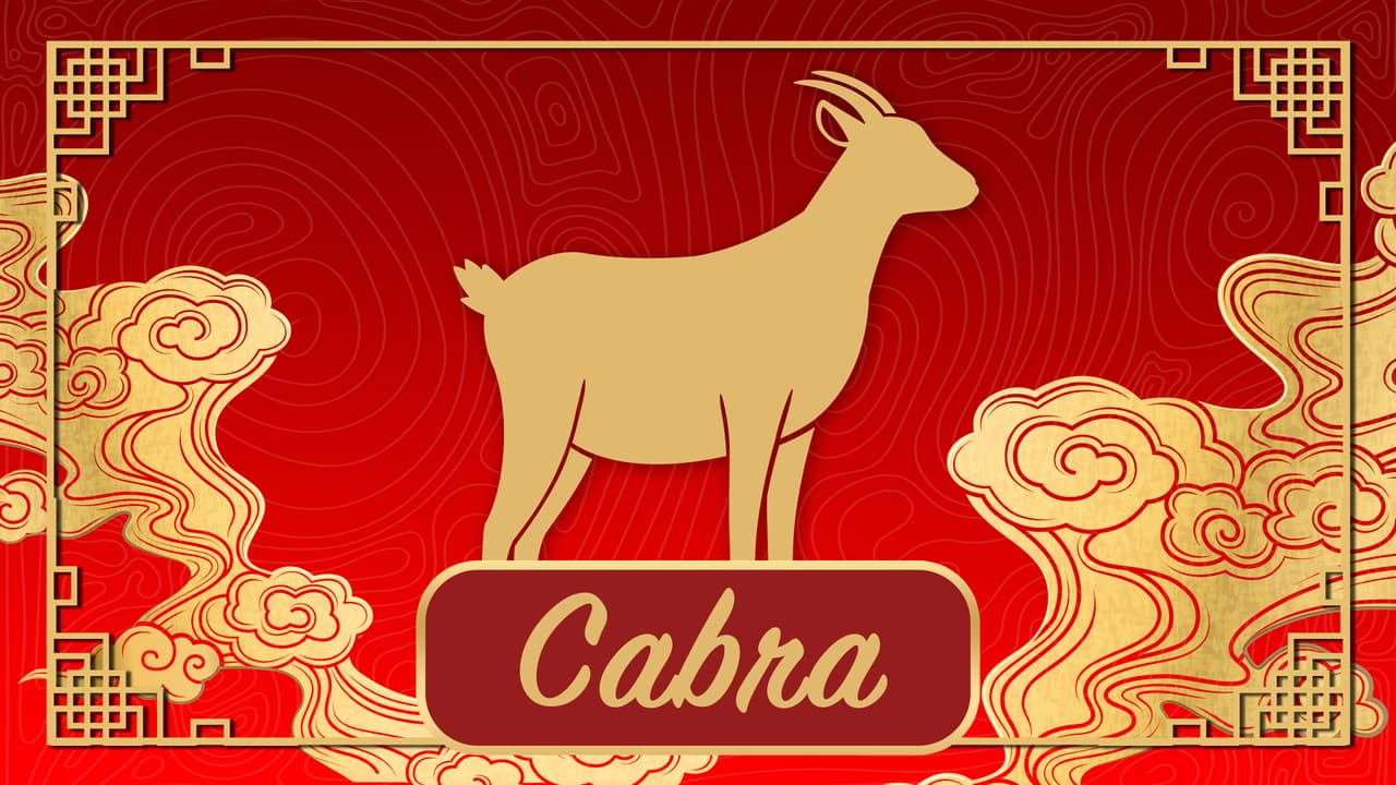 <b><u style="box-sizing: border-box;"><a href="https://www.univision.com/horoscopos/predicciones-2021/predicciones-para-la-cabra-durante-el-ano-del-buey-en-el-horoscopo-chino-video" target="_blank">HORÓSCOPO DE LA OVEJA 2021</a></u></b>
<br>En general, es un año apacible y tranquilo para ti, en la que muchas cosas tranquilas se aclaran. En el torbellino que fue el Año de la Rata, con todos los problemas que tuviste, ahora el agua recuperará su nivel.
<br>Pero si todo está bueno y sin problemas, ¿estarás bien? Es absurdo pensar que no habrá complicaciones, pero hay una forma inteligente para confrontarlos.