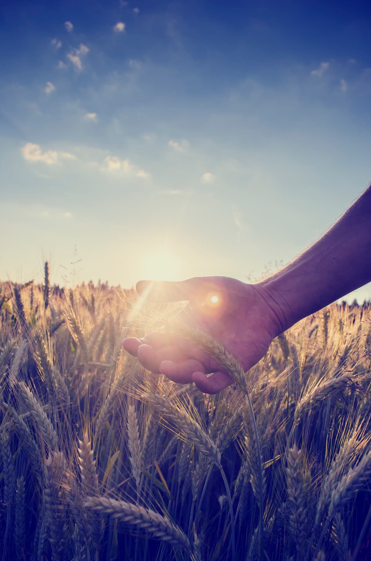 Con Júpiter en Virgo existe una fuerte tendencia a buscar el crecimiento interior y exterior ayudando a los demás espontáneamente, cumpliendo con tus obligaciones y mejorándose uno mismo mediante la disciplina y el trabajo.