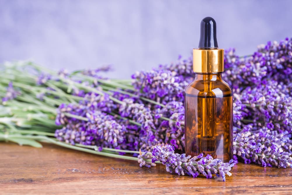 La lavanda es una hermosa planta de color lila, usada con frecuencia en la industria de los cosméticos por su agradable aroma. Sin embargo, también tiene múltiples propiedades que ayudan a la mente y al espíritu, como veremos a continuación.