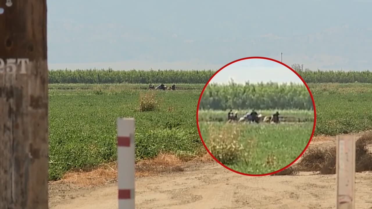 Helicóptero se estrella en el condado Colusa y mueren sus cuatro pasajeros