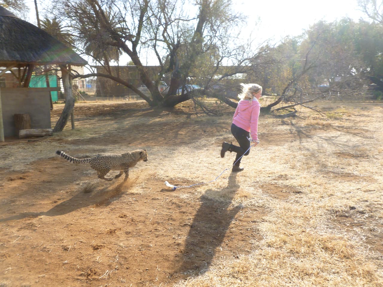Pero cuando sale de la oficina, de inmediato va a visitar a su amigo.