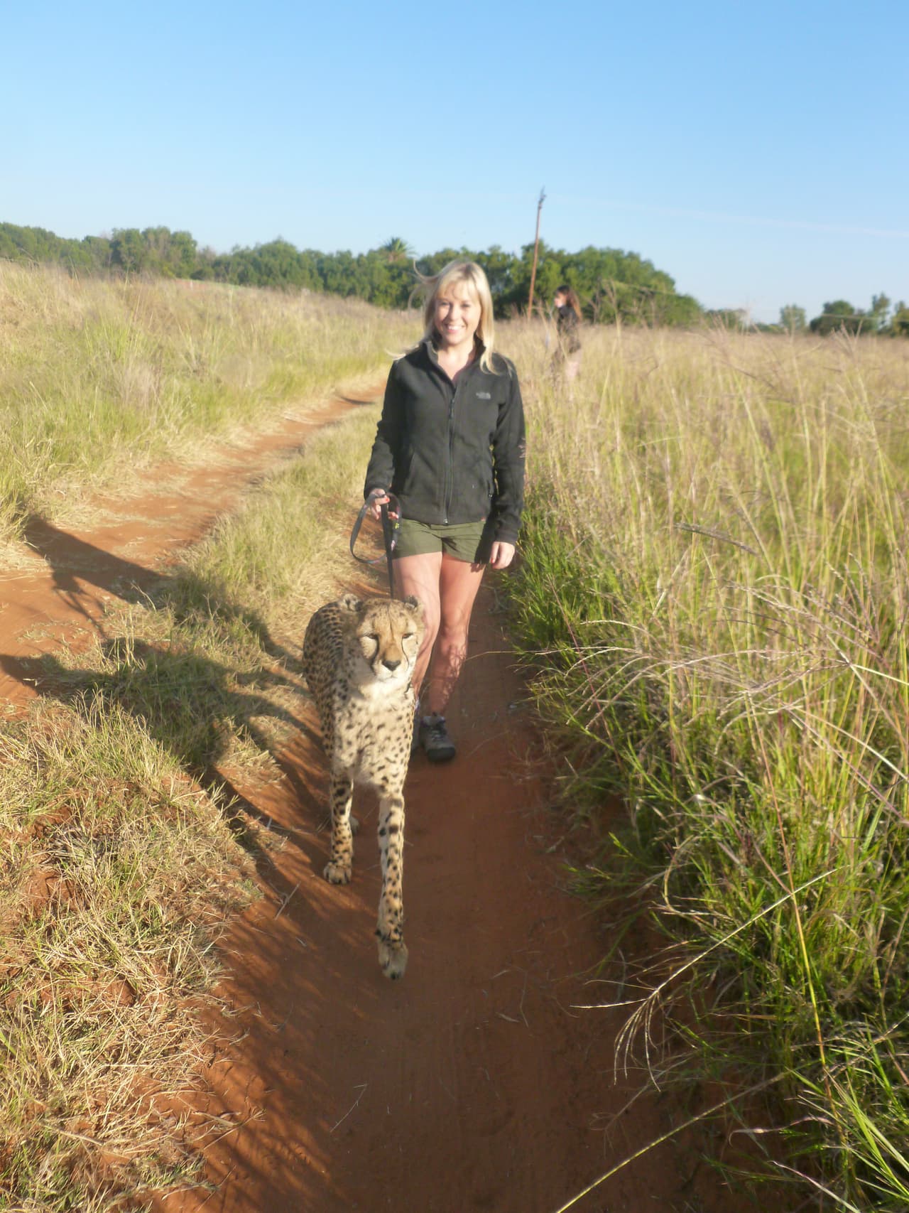 Largas caminatas realizan, pues no se cansan de la compañía.