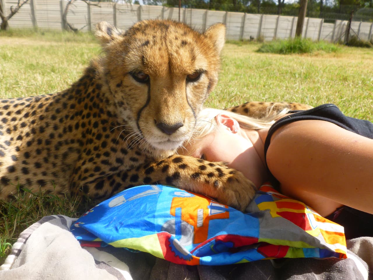 Es una amistad como la de ningún otro.