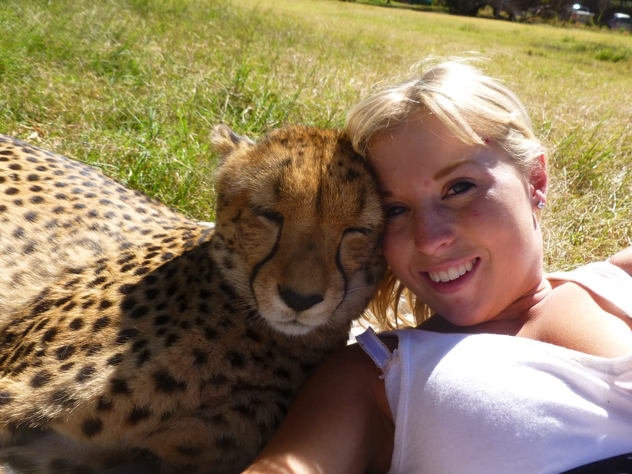 También se recuestan bajo el sol y se broncean.