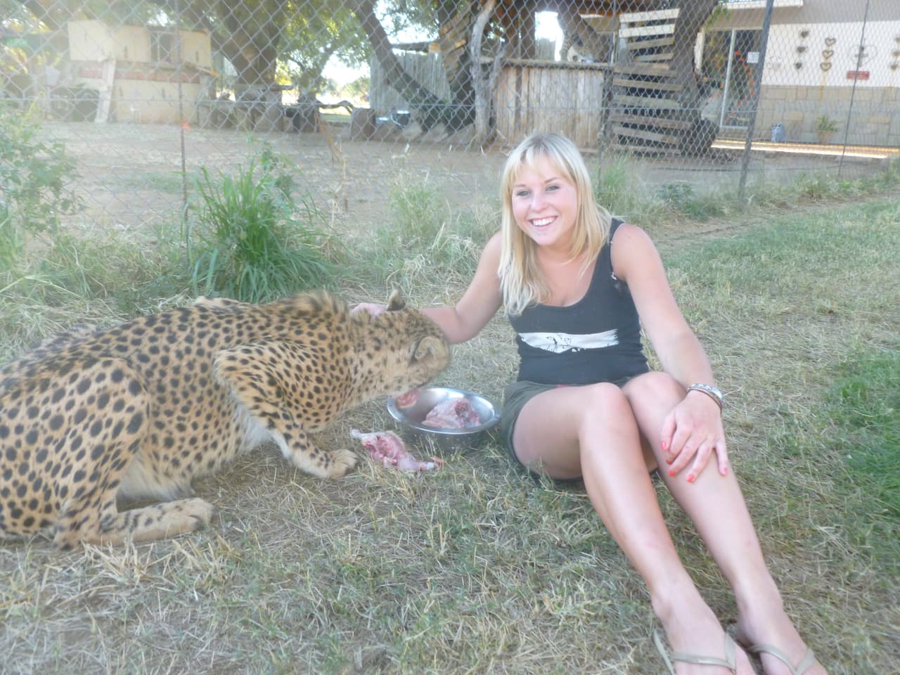 ¡Vaya amistad surgió entre un guepardo y una jovencita!