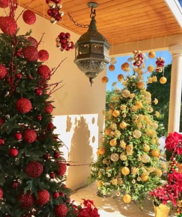 La conductora Lili Estefan no pierde la oportunidad de festejar la temporada decembrina a lo grande y compartió en su cuenta de Instagram los dos pinos que decoró para este año.