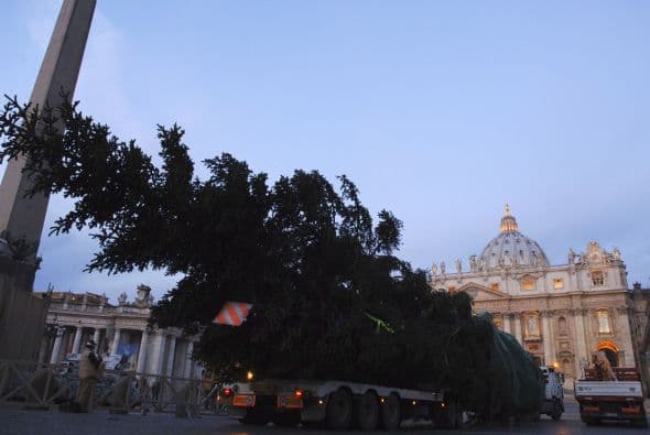 Un abeto de 24 metros de altura proveniente de la provincia de Isernia, al centro-sur de Italia, fue colocado junto al obelisco central de la Plaza de San Pedro del Vaticano para adornar las fiestas decembrinas.