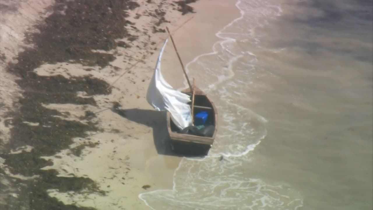 Cuatro inmigrantes cubanos llegan a playa de Virginia Key
