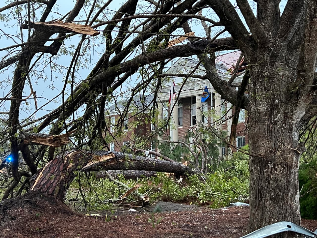 Una persona muerta, casas dañadas y árboles caídos tras el paso de las tormentas en Georgia