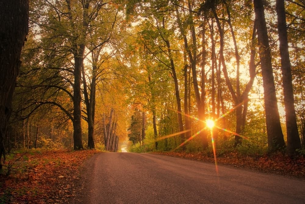 También en Asia, entre ellos uno muy famoso es el Shunbun no Hi en Japón, una celebración milenaria asociada con el budismo y la fertilidad, que atrae miles de visitantes y turistas todos los años.