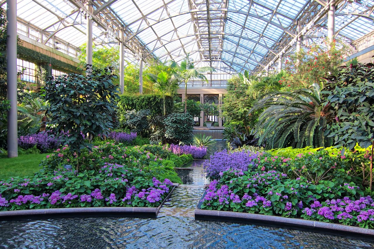 <b><a href="https://longwoodgardens.org/events-performances/winter-wonder" target="_blank">Winter Wonder at Longwood Gardens (Hasta el 27 de marzo)</a></b>: Las mentes hortícolas de Longwood Gardens demuestran que el invierno es más que árboles desnudos con su exhibición anual Winter Wonder. En el Conservatorio, Streptocarpus, Saintpaulia y Clerodendrum schmidtii llenan el espacio de púrpura y blanco mientras cientos de orquídeas florecen magníficamente. Al aire libre, los 400 acres de los jardines revisten con hamamelis amarillo y naranja, mientras que los pastos de invierno brindan textura al paisaje.