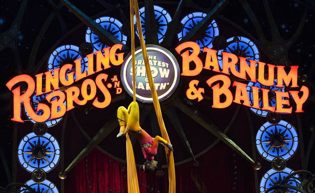 Después de casi un siglo y medio en escena el circo Ringling Bros. y Barnum & Bailey Circus, que se promociona como “El mayor espectáculo del mundo”, anunció que dejará de operar definitivamente en mayo.