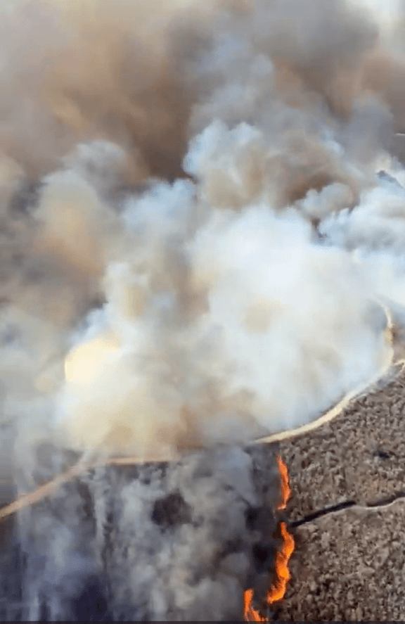 Las autoridades emitieron órdenes de evacuación para varios vecindarios de San Clemente y San Juan Capistrano. Las zonas afectadas incluían calles cercanas a Camino Las Ramblas y áreas que se extienden hasta la autopista 5.