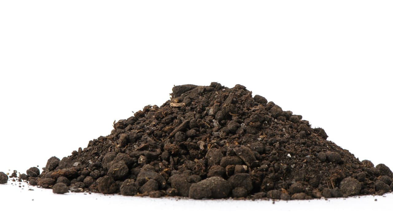 <h2 class="cms-H2-H2">Tierra o suelo</h2>
<br>En cualquier presentación, está prohibido entrar con tierra o suelo a México.