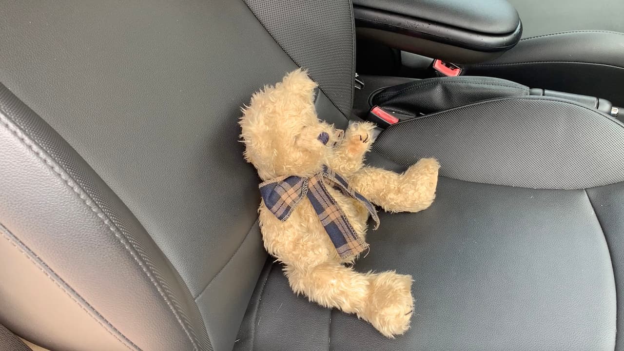 Puedes escribir una nota o poner un juguete de peluche en el asiento del pasajero para recordarte que un niño está en el asiento trasero.