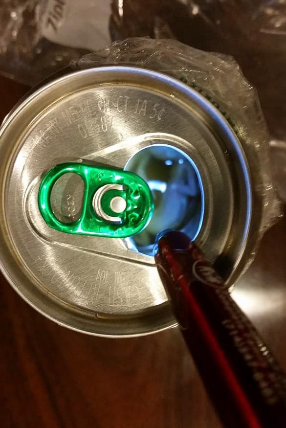 Los documentos presentados ante un tribunal en el condado de Orange dicen que al inspeccionar el envase fue que descubrieron los reptiles.