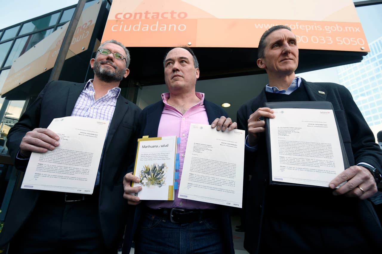México da inédito permiso a cuatro para cultivar y consumir marihuana