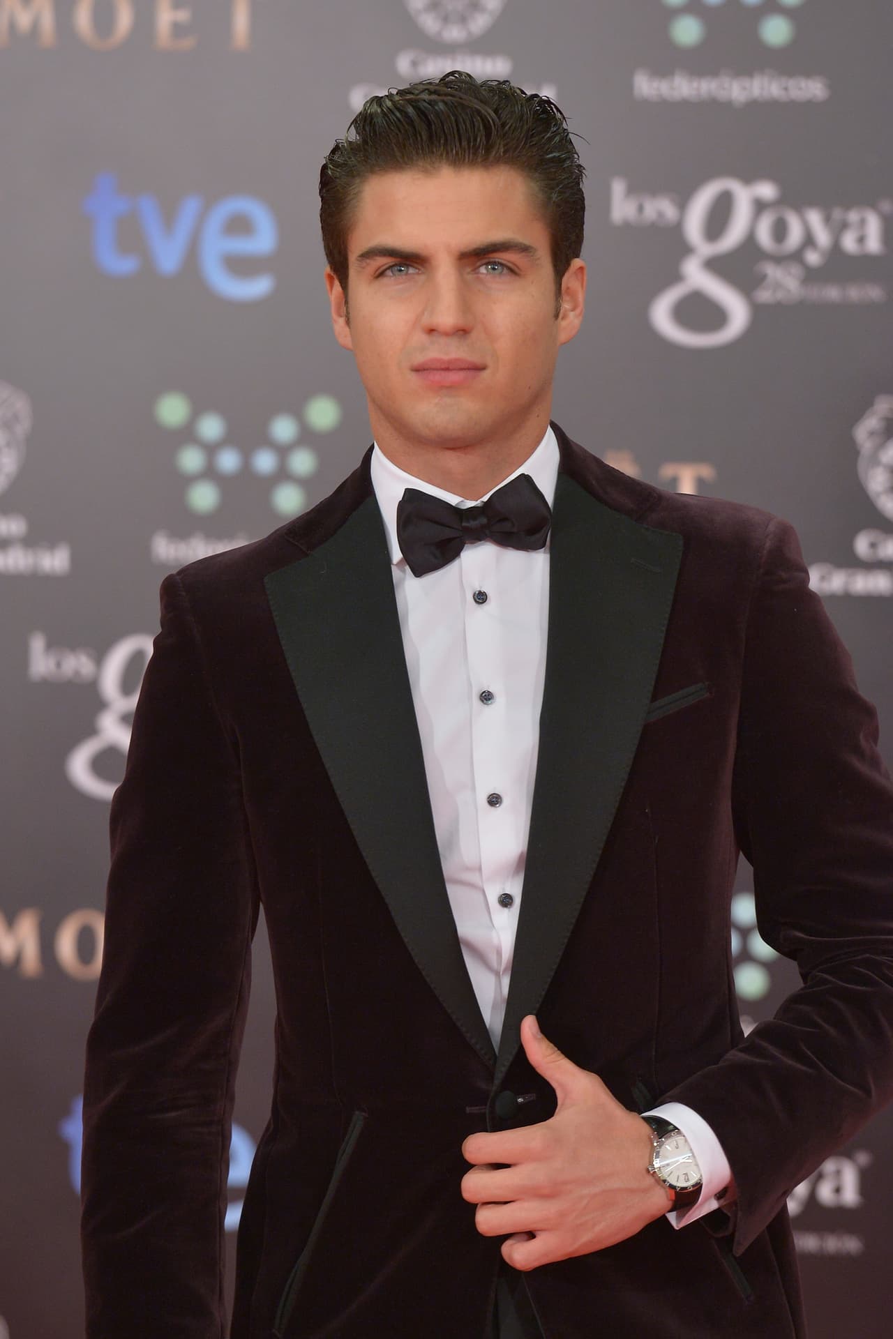 Durante la entrega de los Premios Goya 2014, el actor fue calificado como uno de los mejor vestidos de la noche.