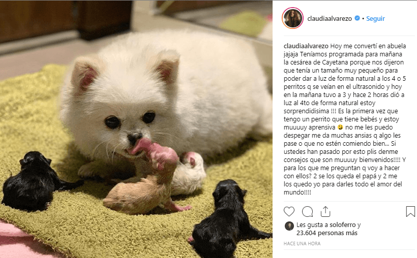 Con este mensaje fue que Claudia Álvarez anunció que se había convertido en abuela y las felicitaciones no se hicieron esperar, pero la actriz pidió consejos a sus seguidores sobre los cuidados que debe de tener con la nueva mamá.