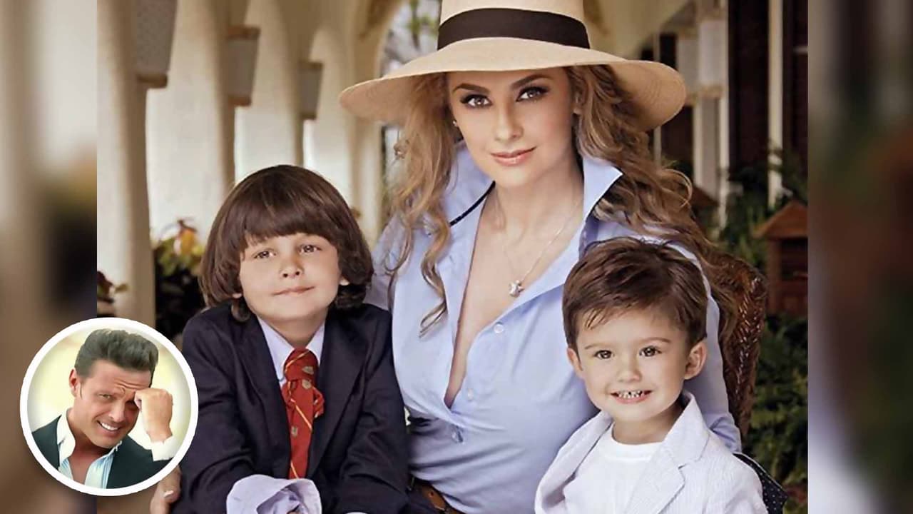 <b>Miguel Gallego</b>, de 14 años, es el hijo mayor que la actriz mexicana procreó con Luis Miguel y el próximo 1 de enero celebrará su 
<b>cumpleaños número 15</b>.