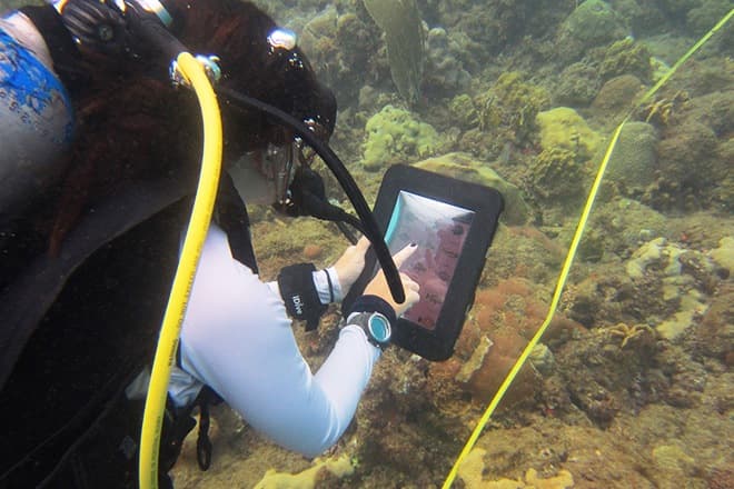 Estudiantes del RUM crean app para identificar peces