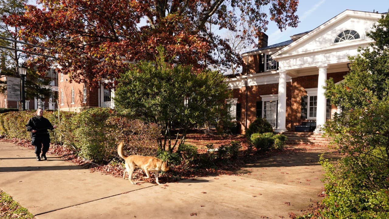 Perros policía colaboraron en la búsqueda del sospechoso del triple asesinato.