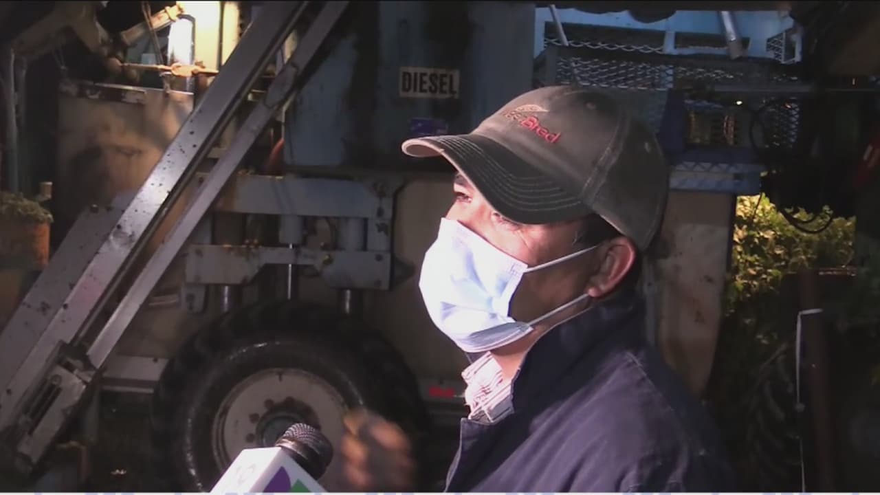 "Dejé de trabajar porque me enfermé" Gobierno entregará hasta $600 a trabajadores esenciales si compró equipo para protegerse durante la pandemia