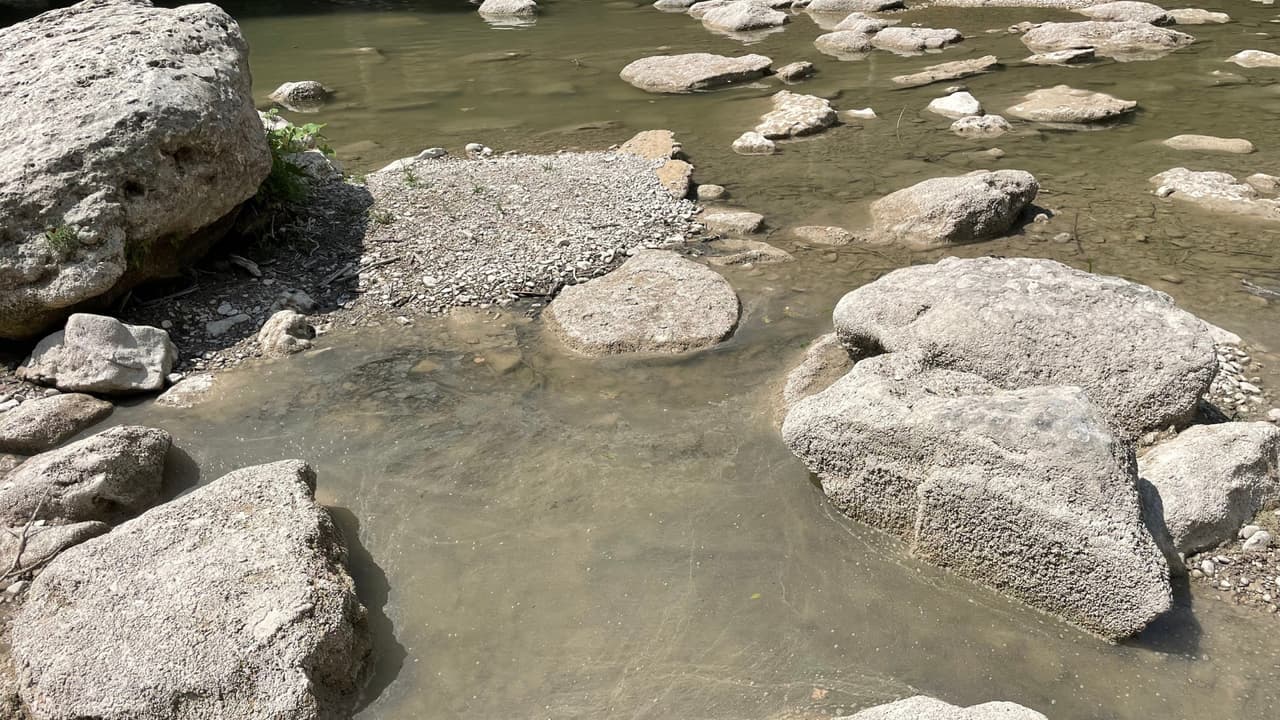 "Nuestro río sigue siendo lento, cálido y poco profundo. Hoy estamos sentados en 0 CFS, que prácticamente no tiene flujo en el río", informaron las autoridades del Parque Estatal Guadalupe River .