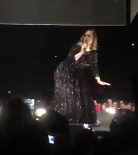 Frente a la mirada de todos, la intérprete de 'Hello' movió su cuerpo e hizo twerking provocando la risa del público que al igual que ella disfrutó este momento.