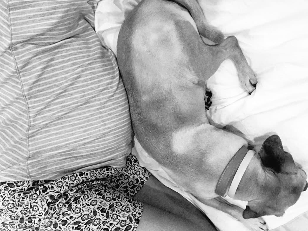 <a href="http://www.univision.com/programas/novelas/el-embarazo-de-danna-garcia-fotos">La actriz mantuvo en completo hermetismo los detalles</a> sobre su estado. Aunque sí compartió con sus fanáticos la llegada de su bebé, asegurando ser su mayor bendición.